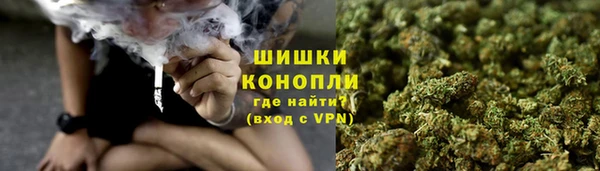 МДПВ Богородицк