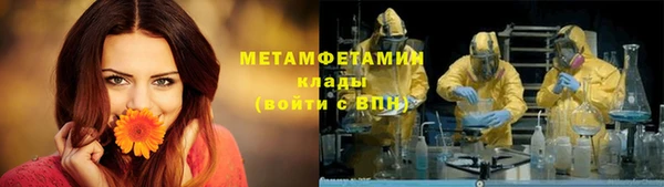 метадон Богданович