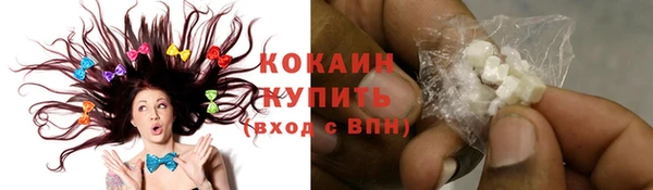 метадон Богданович