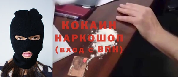 метадон Богданович