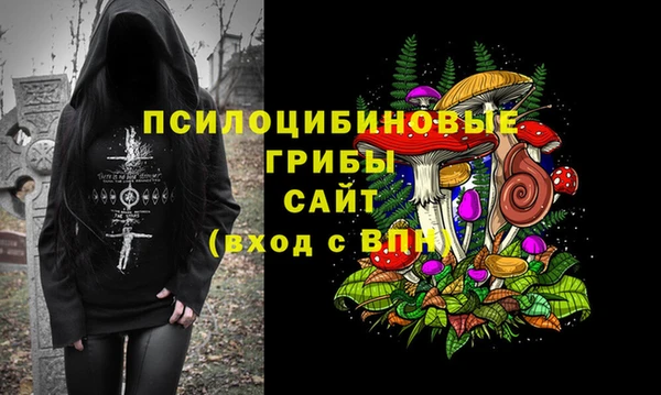 МДПВ Богородицк
