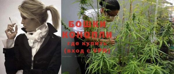 метадон Богданович