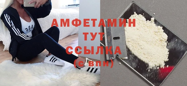 метадон Богданович