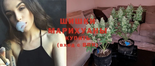 метадон Богданович